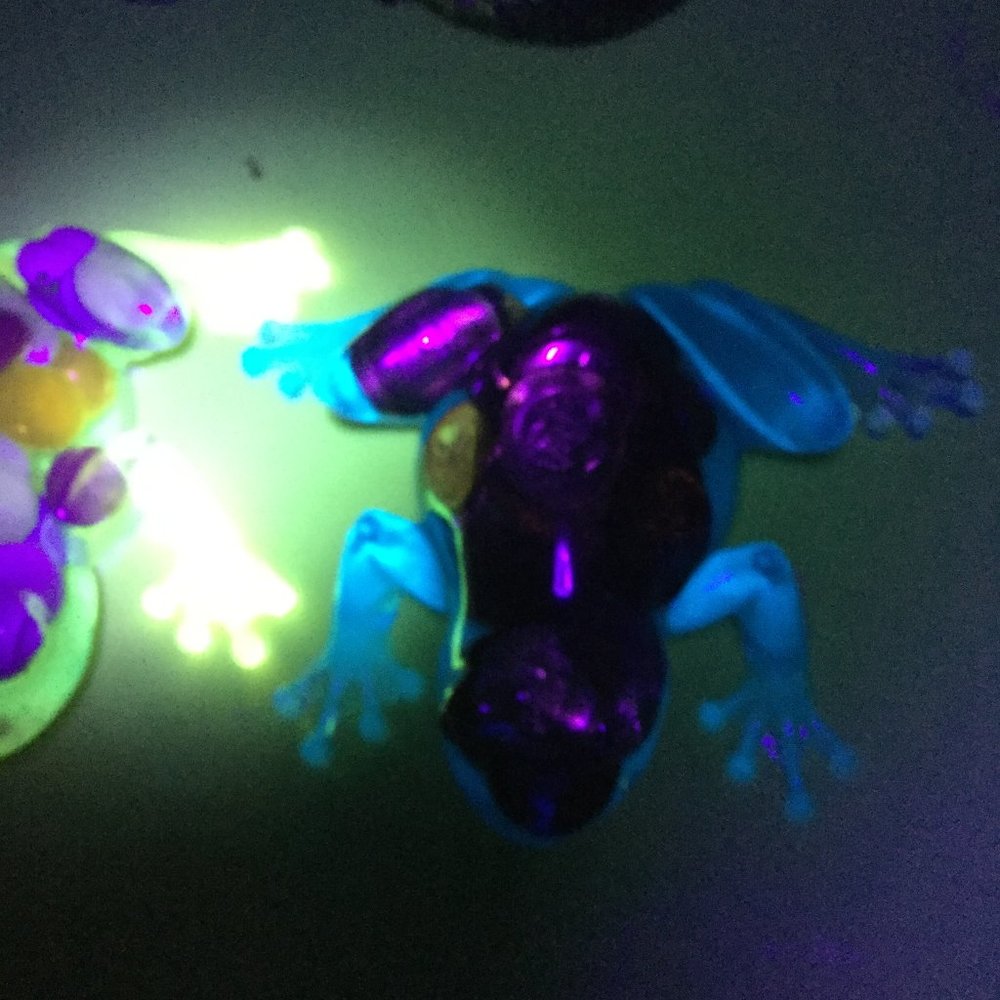 Hand crafted glow in the dark blue frog resin weather proof 4"penny filled